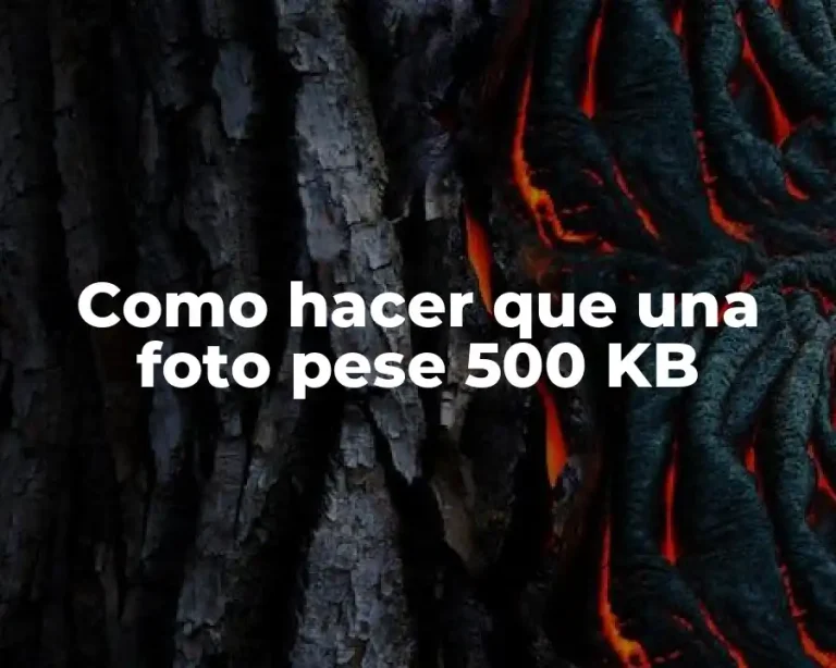 Como hacer que una foto pese 500 KB