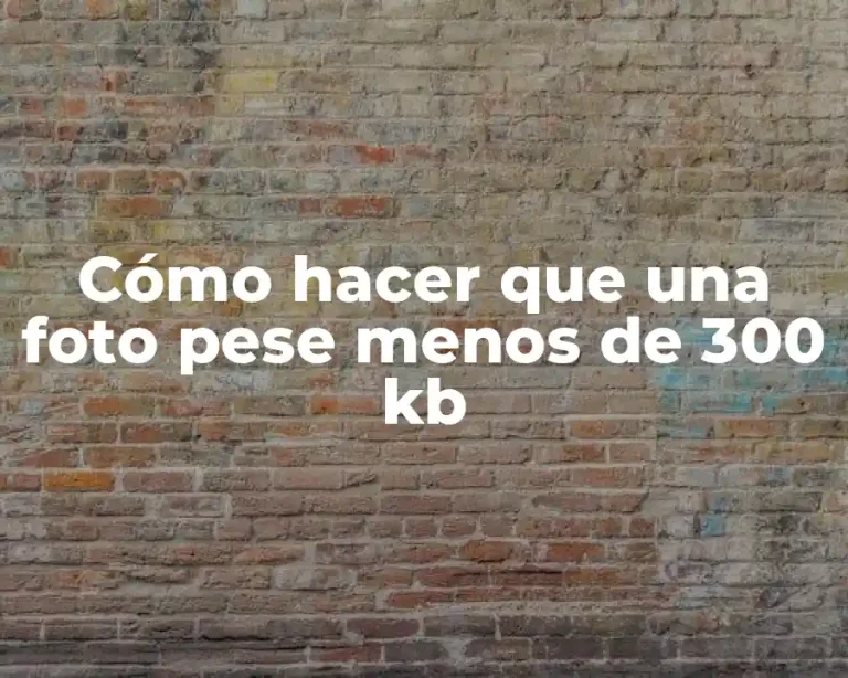 Cómo hacer que una foto pese menos de 300 kb