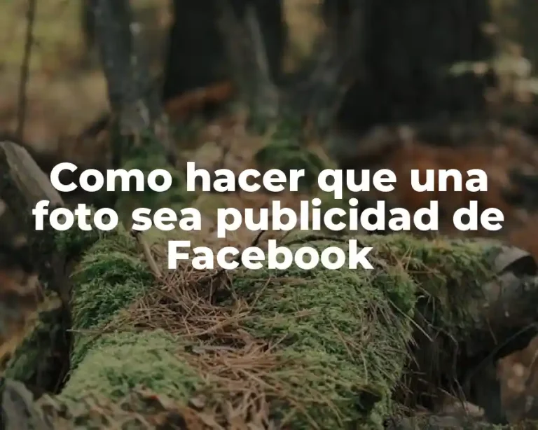 Como hacer que una foto sea publicidad de Facebook