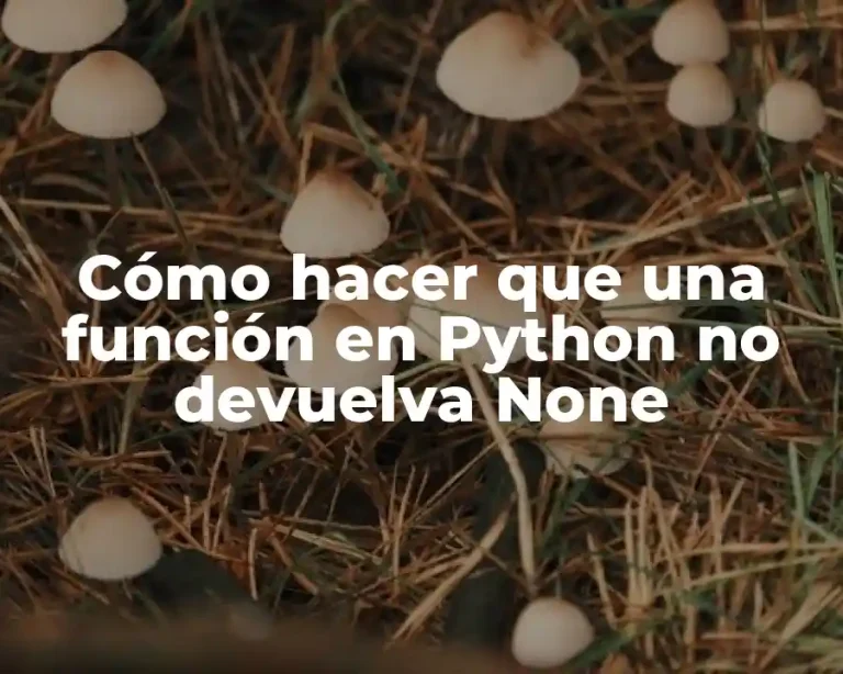 Cómo hacer que una función en Python no devuelva None