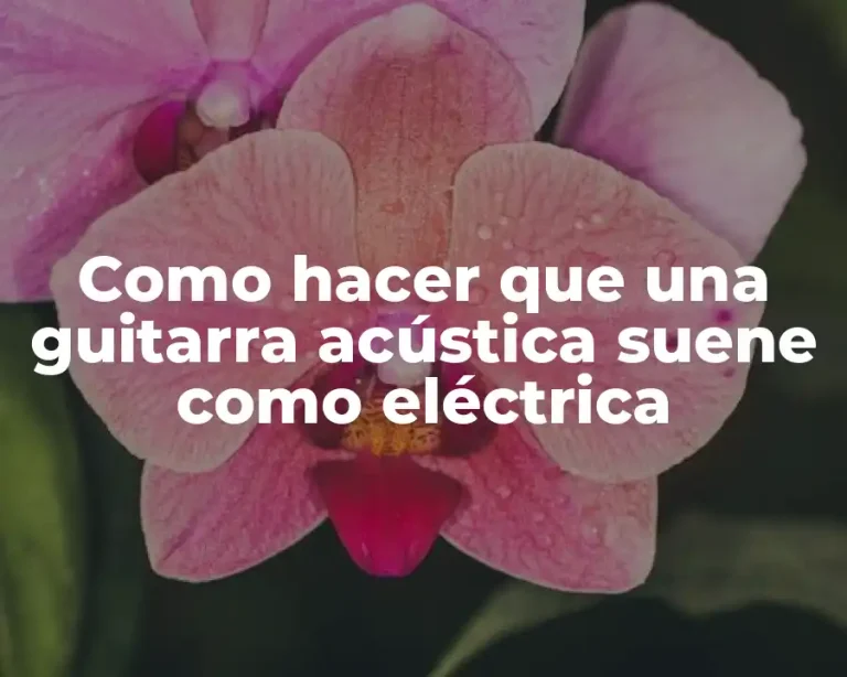 Como hacer que una guitarra acústica suene como eléctrica