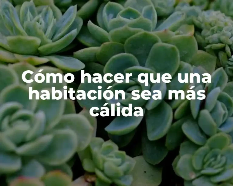 Cómo hacer que una habitación sea más cálida