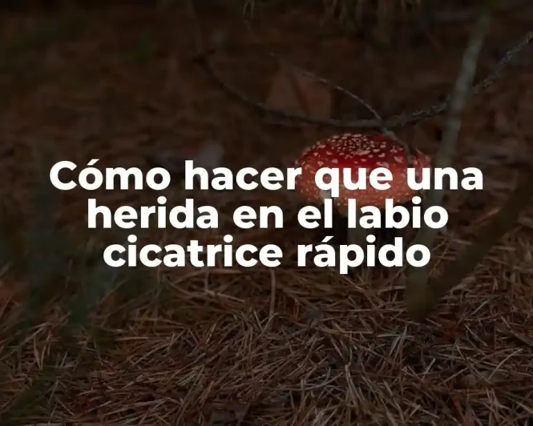 Cómo hacer que una herida en el labio cicatrice rápido