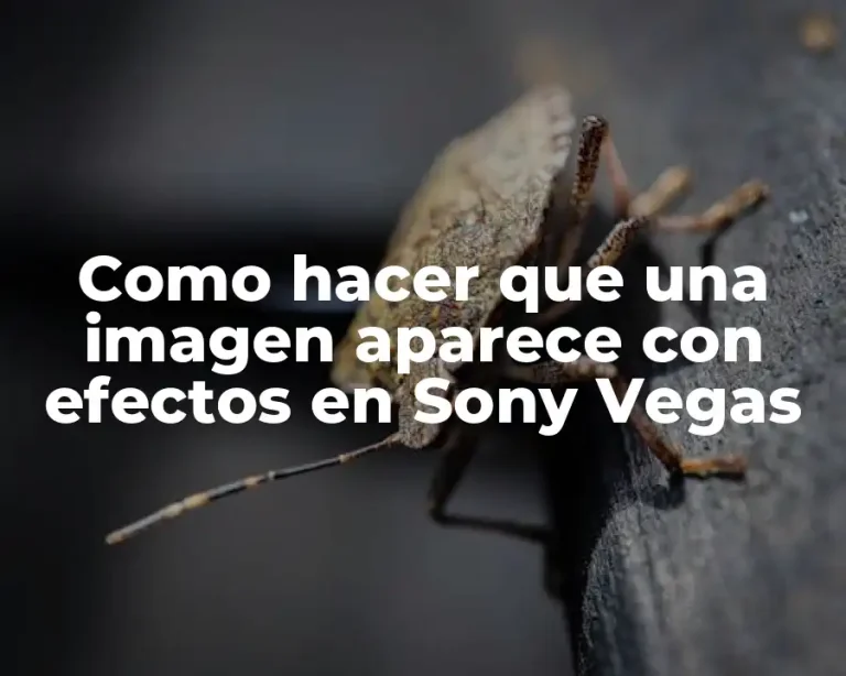 Como hacer que una imagen aparece con efectos en Sony Vegas