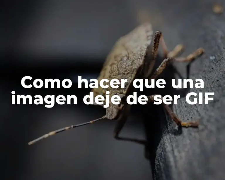 Como hacer que una imagen deje de ser GIF