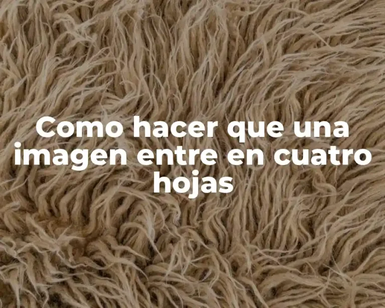 Como hacer que una imagen entre en cuatro hojas