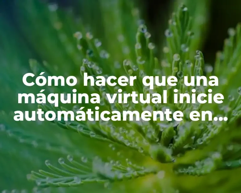 Cómo hacer que una máquina virtual inicie automáticamente en VMware