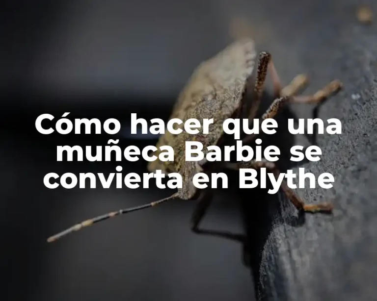Cómo hacer que una muñeca Barbie se convierta en Blythe