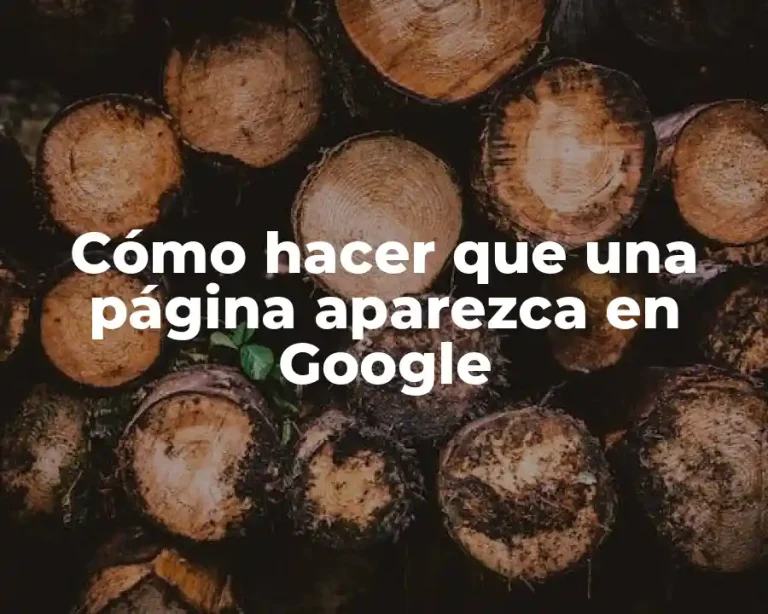 Cómo hacer que una página aparezca en Google