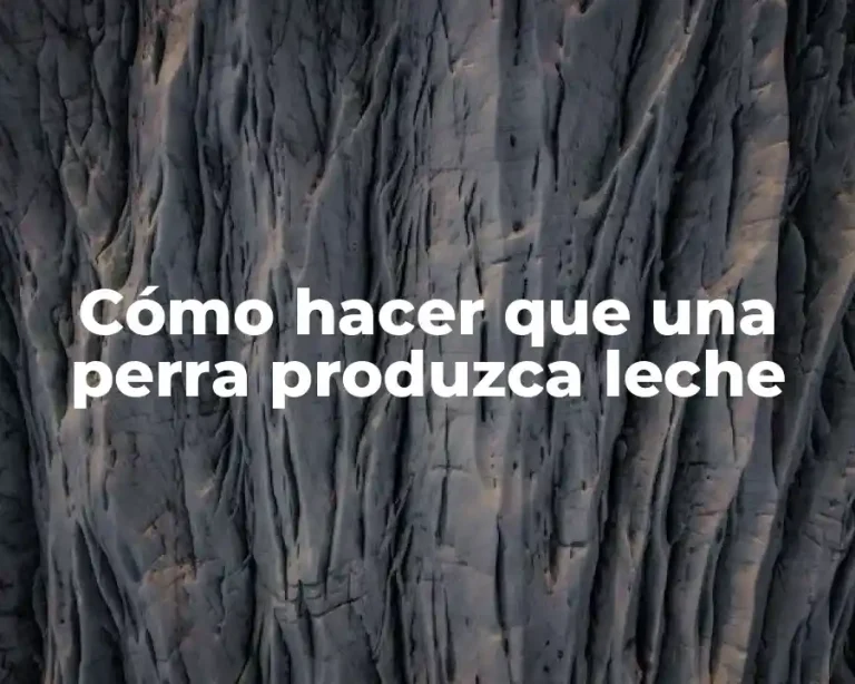 Cómo hacer que una perra produzca leche