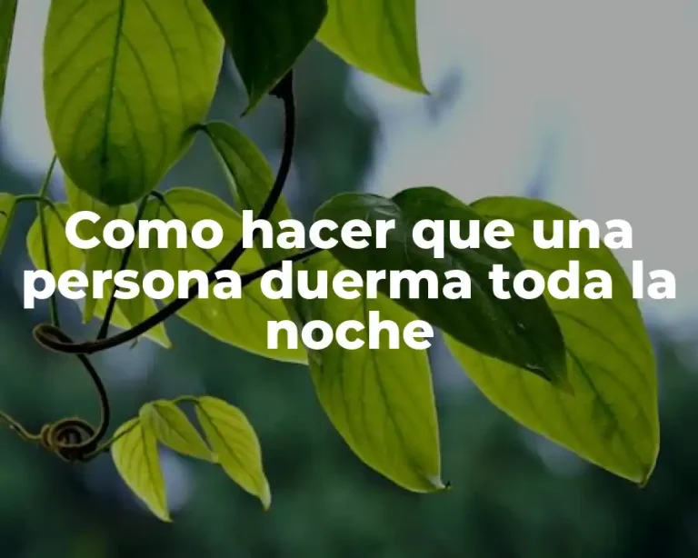 Como hacer que una persona duerma toda la noche