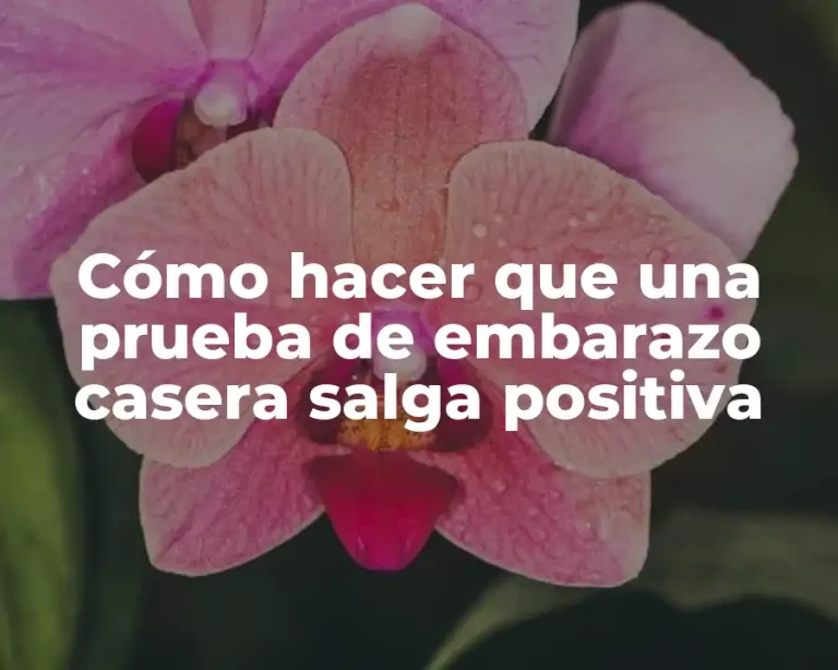 Cómo hacer que una prueba de embarazo casera salga positiva