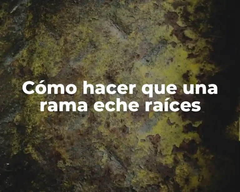 Cómo hacer que una rama eche raíces