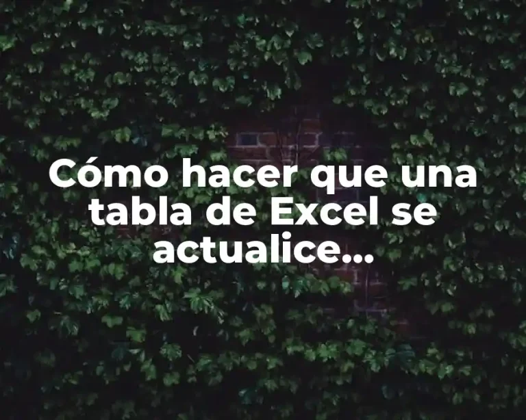 Cómo hacer que una tabla de Excel se actualice automáticamente