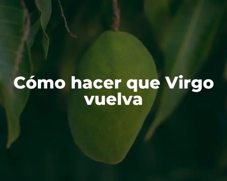 Cómo hacer que Virgo vuelva
