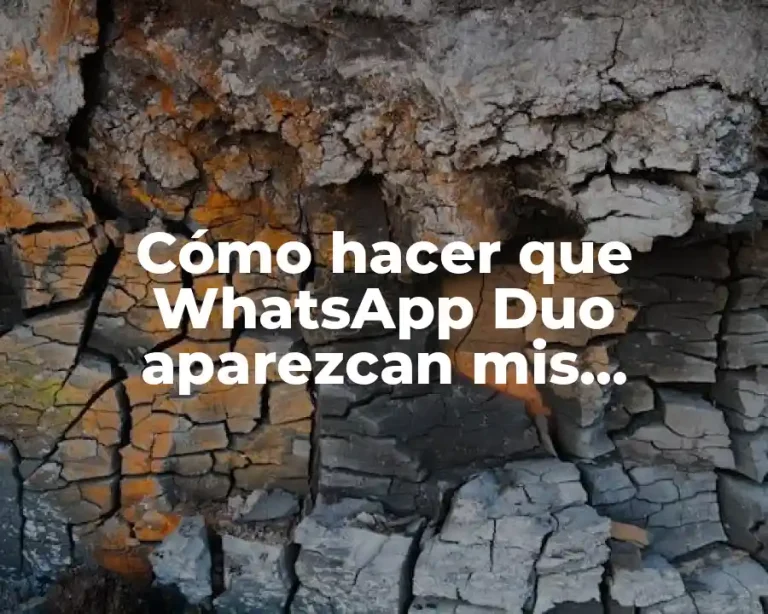 Cómo hacer que WhatsApp Duo aparezcan mis contactos