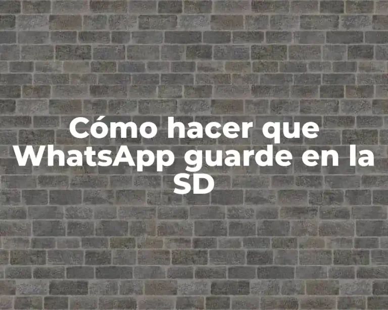 Cómo hacer que WhatsApp guarde en la SD