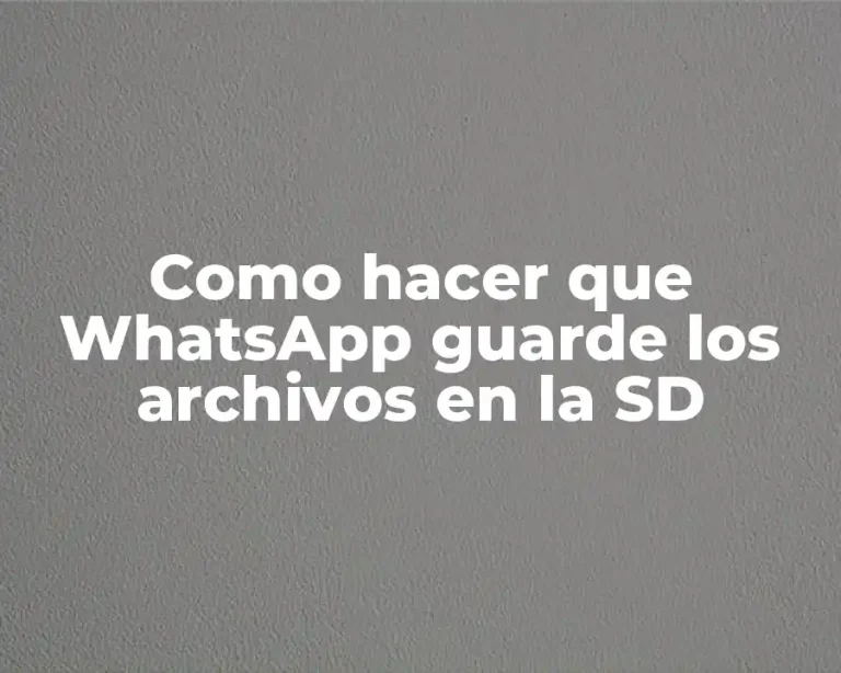 Como hacer que WhatsApp guarde los archivos en la SD