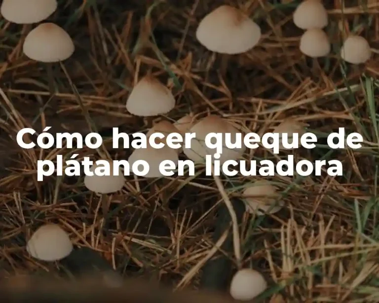 Cómo hacer queque de plátano en licuadora