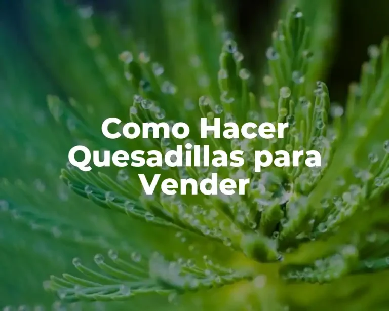 Como Hacer Quesadillas para Vender