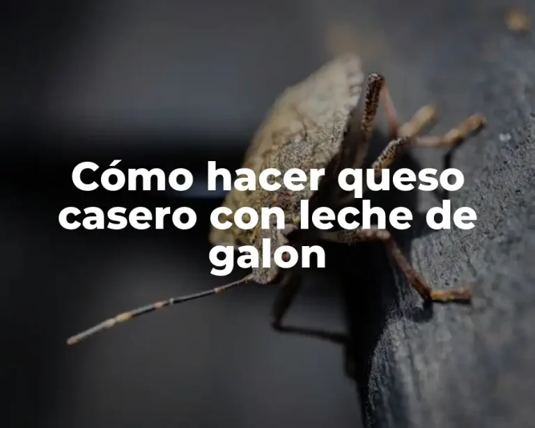 Cómo hacer queso casero con leche de galon