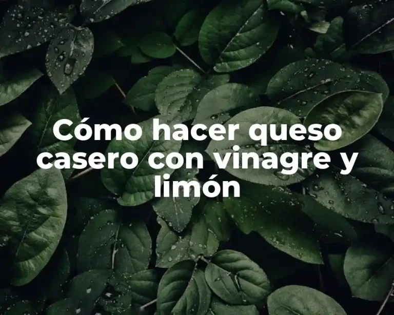 Cómo hacer queso casero con vinagre y limón