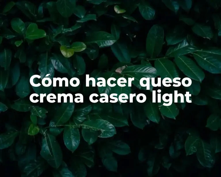 Cómo hacer queso crema casero light