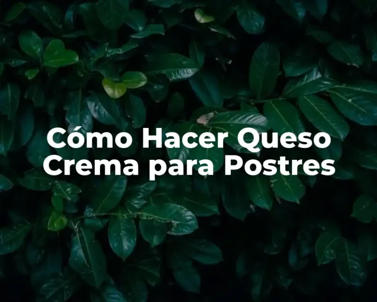 Cómo Hacer Queso Crema para Postres