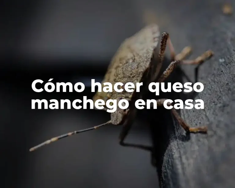 Cómo hacer queso manchego en casa