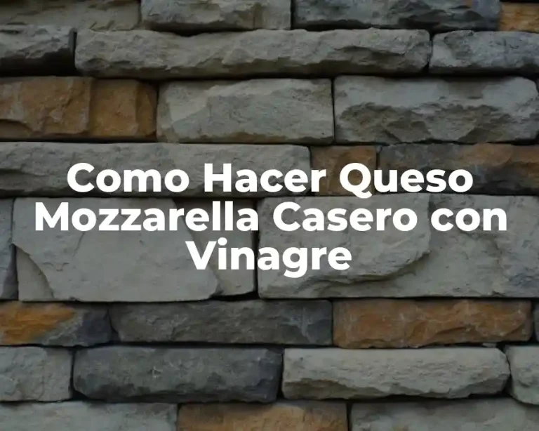 Como Hacer Queso Mozzarella Casero con Vinagre