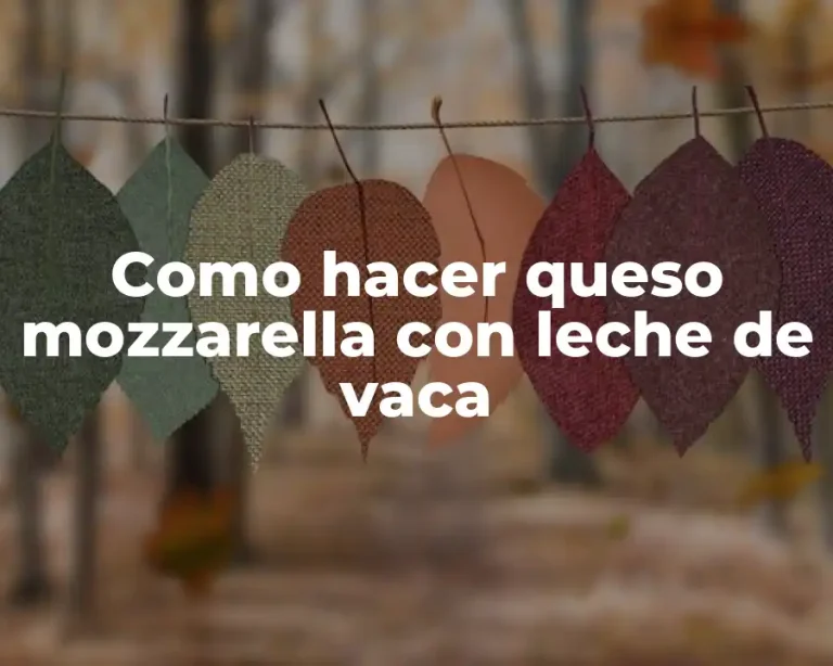 Como hacer queso mozzarella con leche de vaca