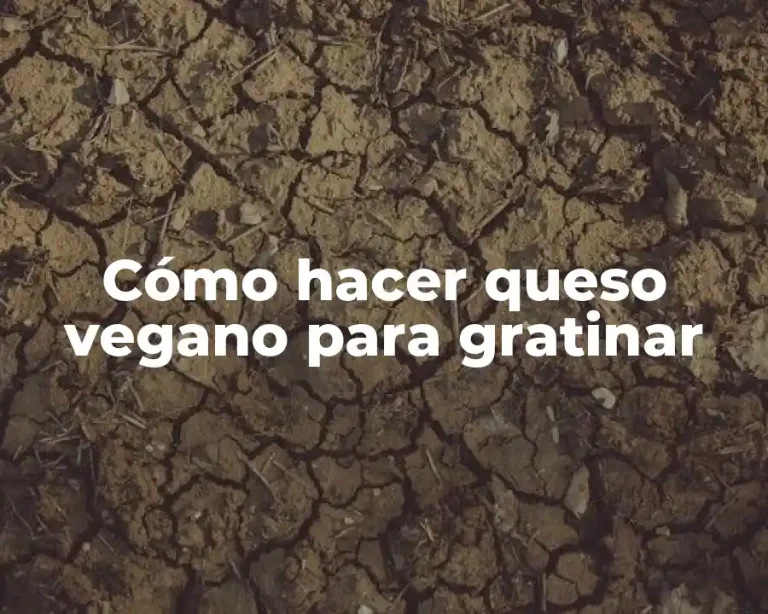 Cómo hacer queso vegano para gratinar