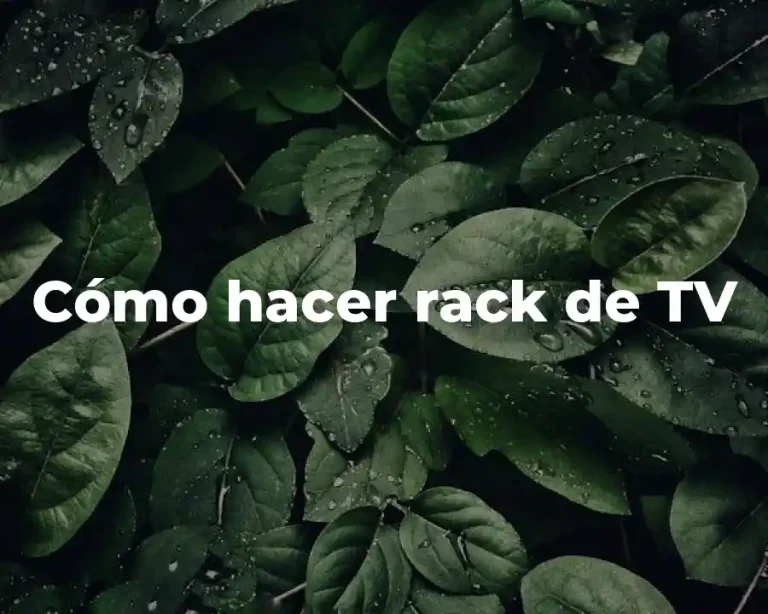 Cómo hacer rack de TV