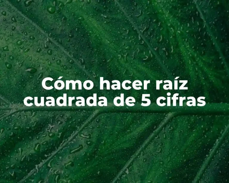Cómo hacer raíz cuadrada de 5 cifras