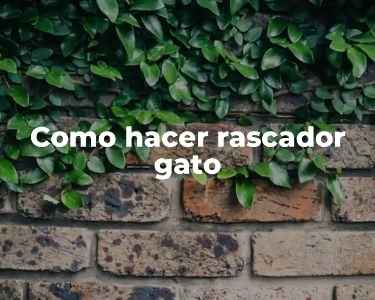 Como hacer rascador gato