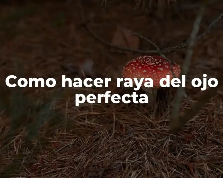 Como hacer raya del ojo perfecta