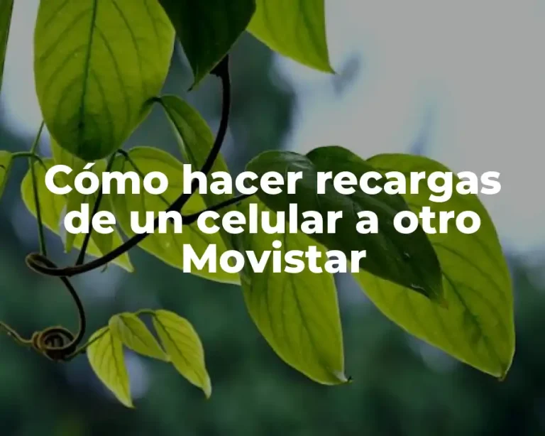 Cómo hacer recargas de un celular a otro Movistar