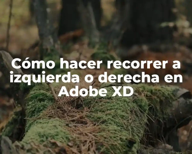 Cómo hacer recorrer a izquierda o derecha en Adobe XD