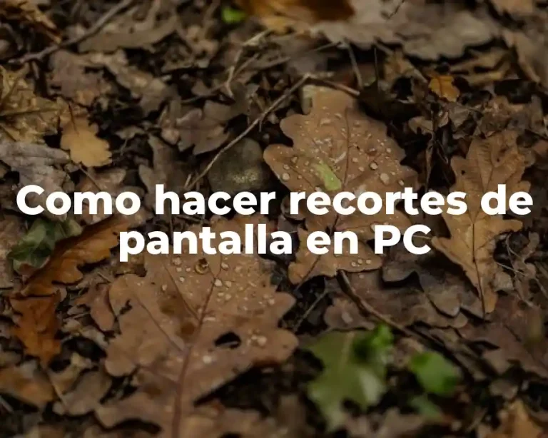 Como hacer recortes de pantalla en PC