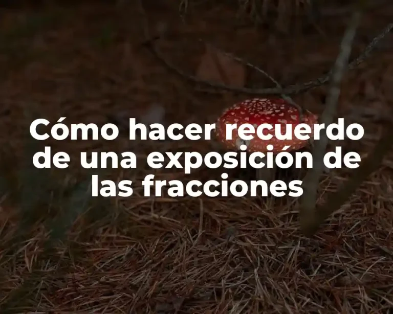 Cómo hacer recuerdo de una exposición de las fracciones