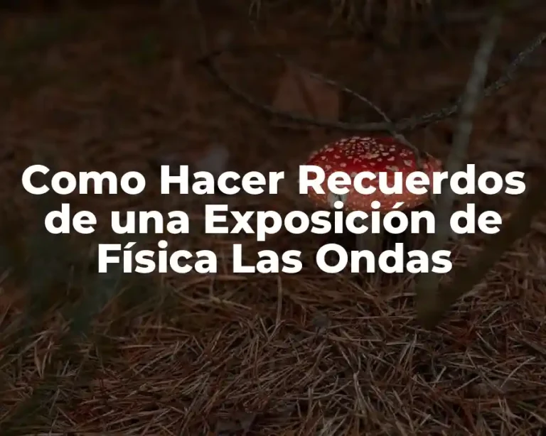 Como Hacer Recuerdos de una Exposición de Física Las Ondas