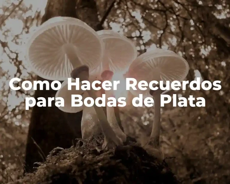 Como Hacer Recuerdos para Bodas de Plata