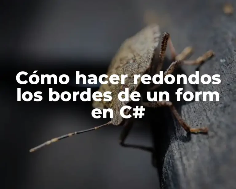 Cómo hacer redondos los bordes de un form en C#