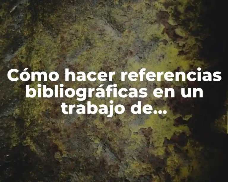 Cómo hacer referencias bibliográficas en un trabajo de investigación