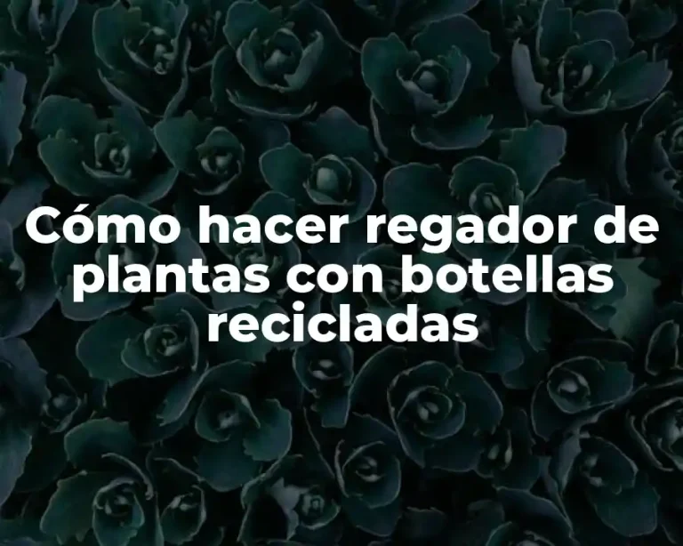 Cómo hacer regador de plantas con botellas recicladas