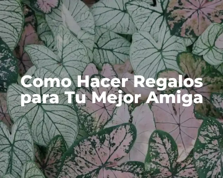 Como Hacer Regalos para Tu Mejor Amiga