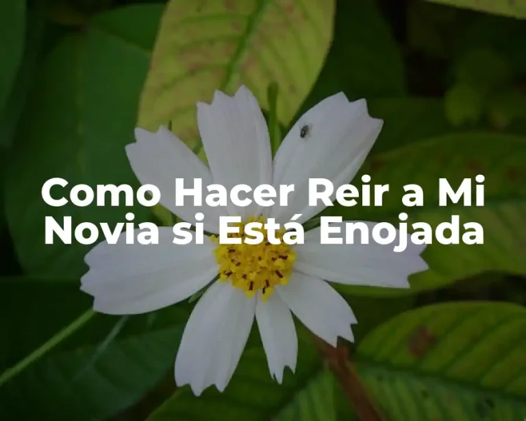 Como Hacer Reir a Mi Novia si Está Enojada