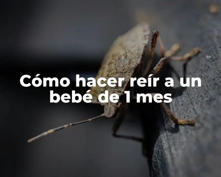 Cómo hacer reír a un bebé de 1 mes