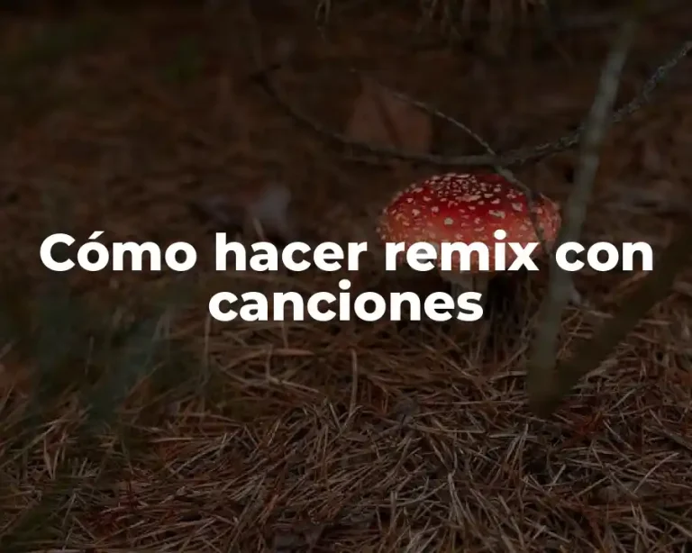 Cómo hacer remix con canciones