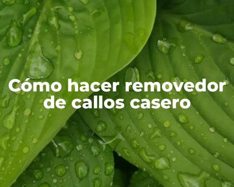Cómo hacer removedor de callos casero
